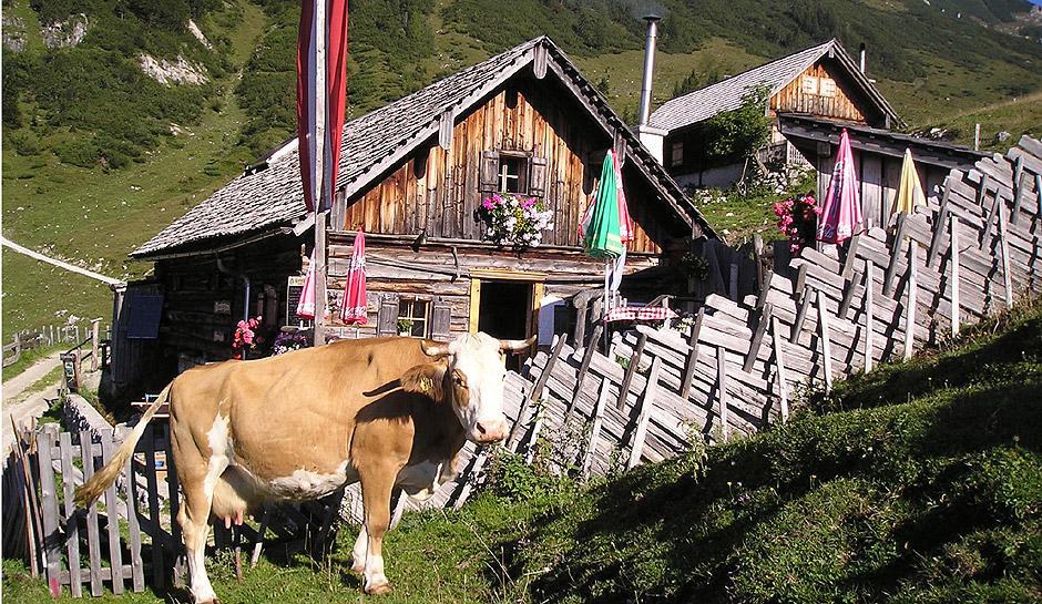 Apartment Haus Van Der Leij Russbach am Pass Gschuett Luaran gambar